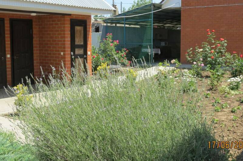 Изображение Изображение гостиницы &quot;Гостевой дом «Афая»&quot; #7 #5