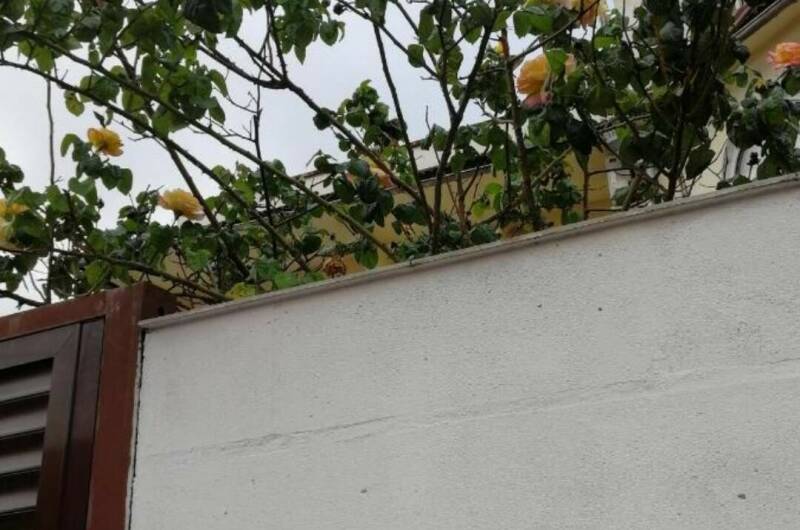 Изображение Изображение гостиницы &quot;Гостевой дом «Чайная роза»&quot; #3 #1