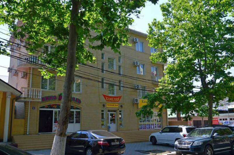 Изображение гостиницы "Гостевой дом «Камелия»" #1