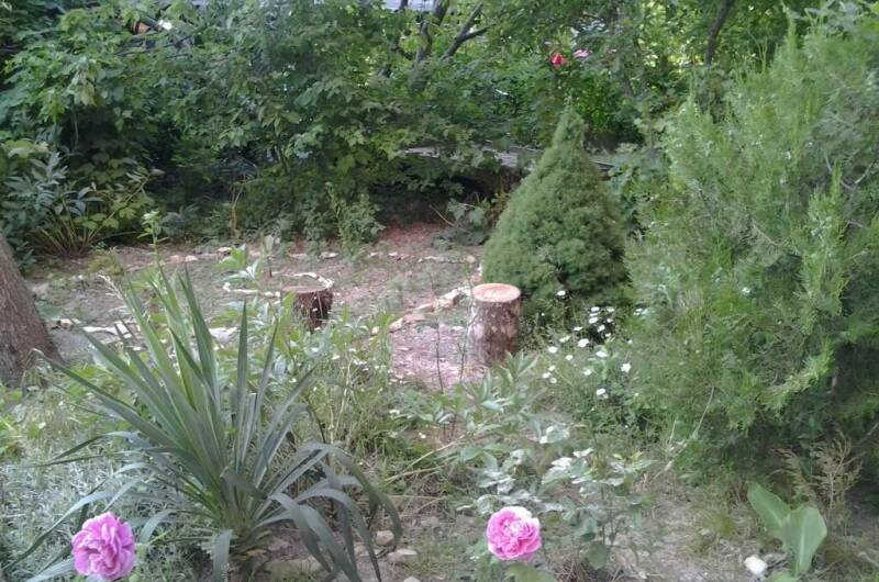 Изображение Изображение гостиницы &quot;Гостевой дом «Шамбала»&quot; #9 #7