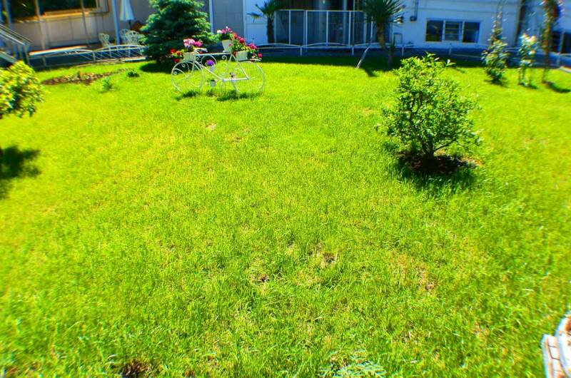 Изображение Изображение гостиницы &quot;Гостевой дом «Даниела»&quot; #3 #1