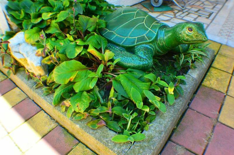 Изображение Изображение гостиницы &quot;Гостевой дом «Даниела»&quot; #8 #6