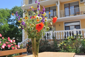 Изображение отеля / гостиницы "Отель «Международный»"