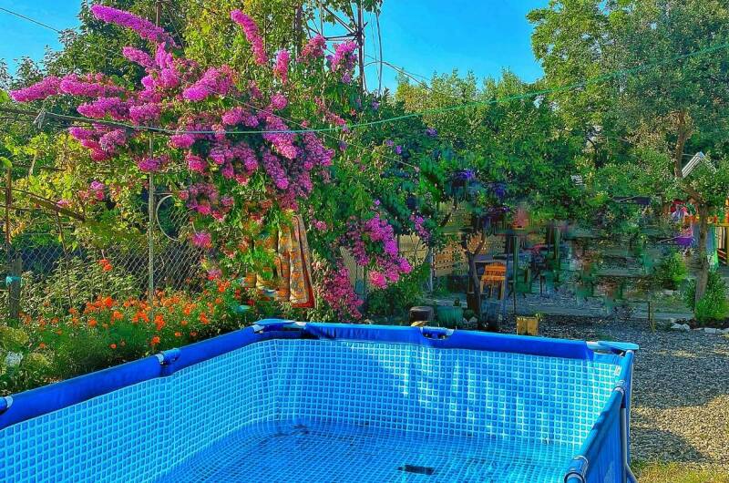 Изображение Изображение гостиницы &quot;Гостевой дом «У Норика и Сусанны»&quot; #6 #4