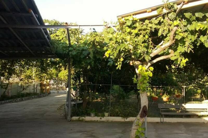 Изображение Изображение гостиницы &quot;Гостевой дом «У Норика и Сусанны»&quot; #7 #5