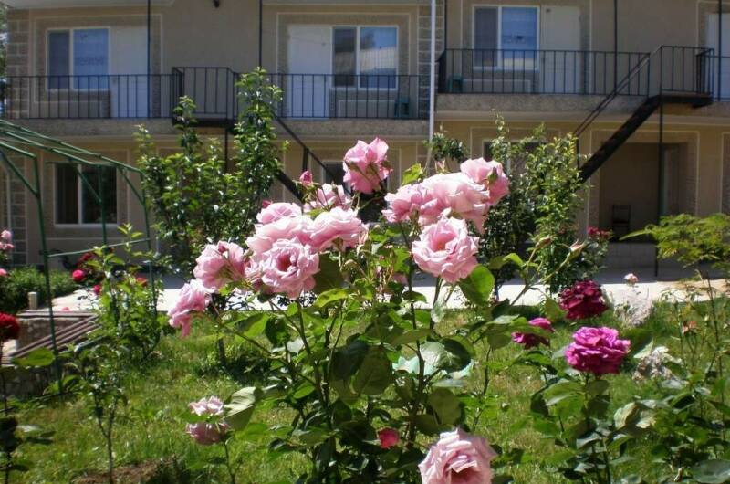 Изображение Изображение гостиницы &quot;Гостевой дом «Елена»&quot; #9 #7