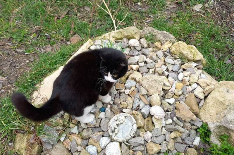 Изображение Изображение гостиницы &quot;Гостевой дом «Твоя атмосфера»&quot; #8 #6