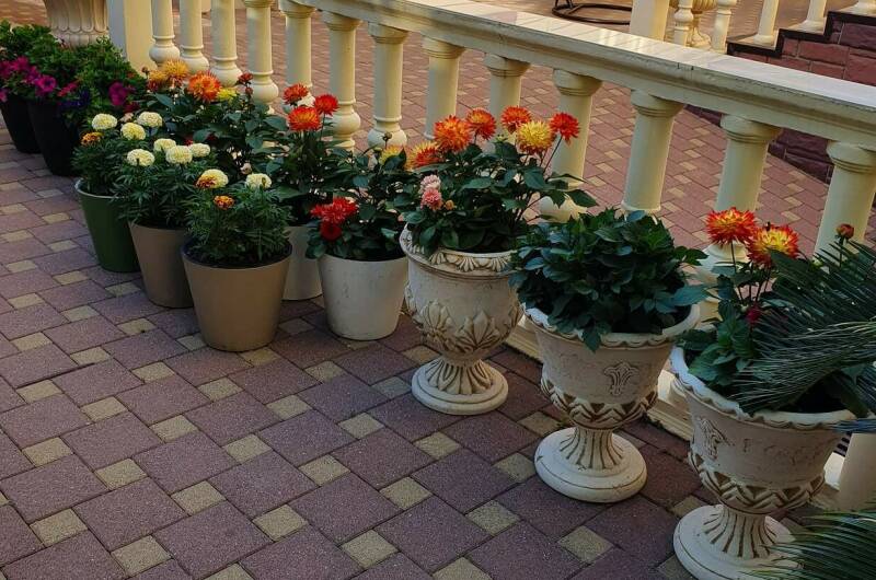 Изображение Изображение гостиницы &quot;Гостевой дом «Белая акация»&quot; #3 #1