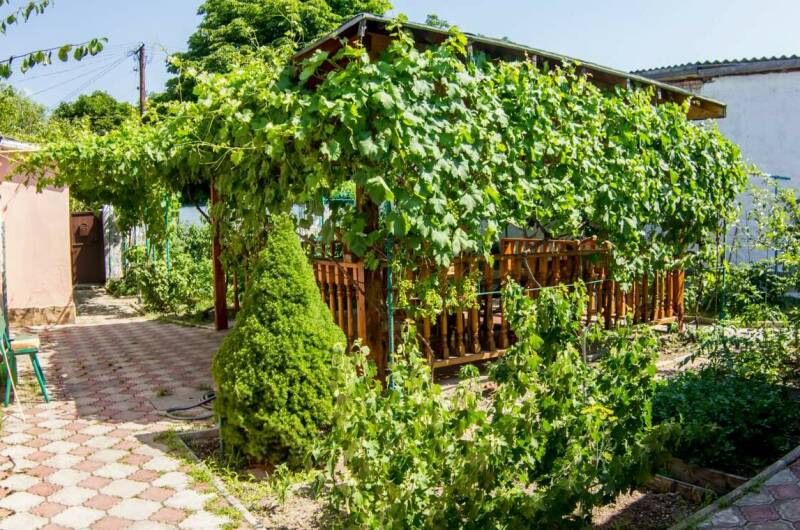 Изображение гостиницы "Гостевой дом в центре Феодосии" #1