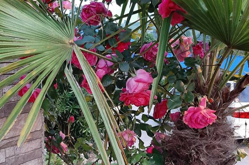 Изображение Изображение гостиницы &quot;Гостевой дом «Ангелина»&quot; #4 #2