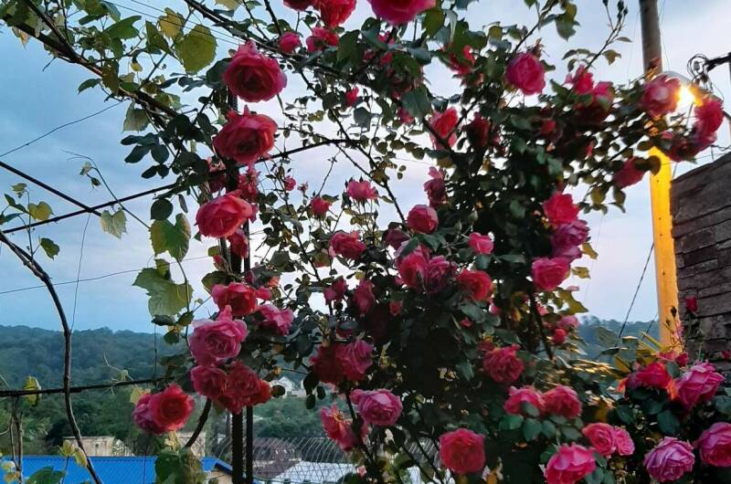 Изображение Изображение гостиницы &quot;Гостевой дом «Ангелина»&quot; #11 #9