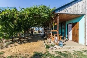 Изображение отеля / гостиницы "Гостевой дом «Домик на Виноградной»"