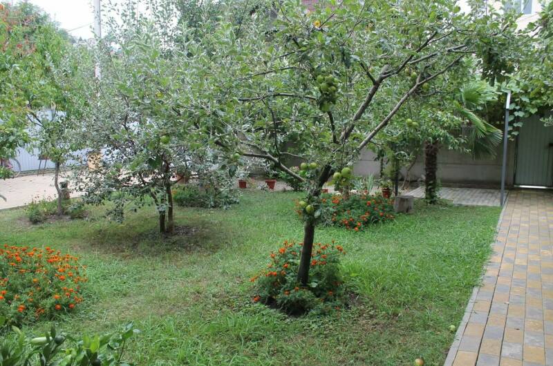 Изображение Изображение гостиницы &quot;Гостевой дом «Лужайка»&quot; #5 #3