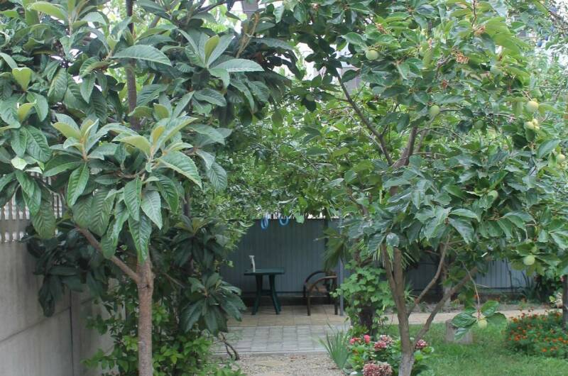 Изображение Изображение гостиницы &quot;Гостевой дом «Лужайка»&quot; #8 #6