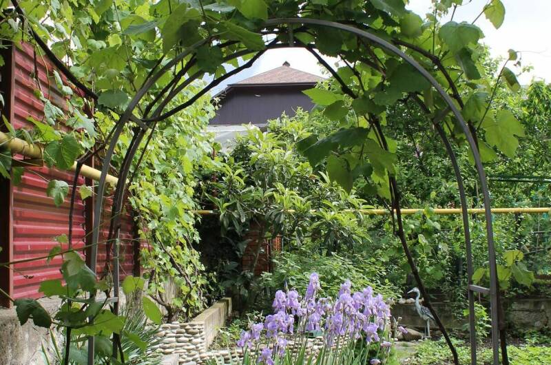 Изображение Изображение гостиницы &quot;Гостевой дом «Лужайка»&quot; #10 #8