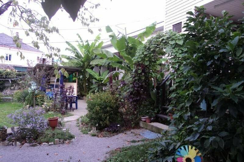 Изображение Изображение гостиницы &quot;Гостевой дом на улице Сочинская&quot; #6 #4