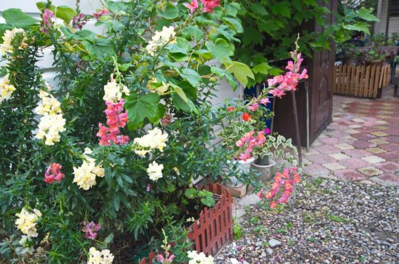 Изображение Изображение гостиницы &quot;Гостевой дом «Лиственница»&quot; #9 #7