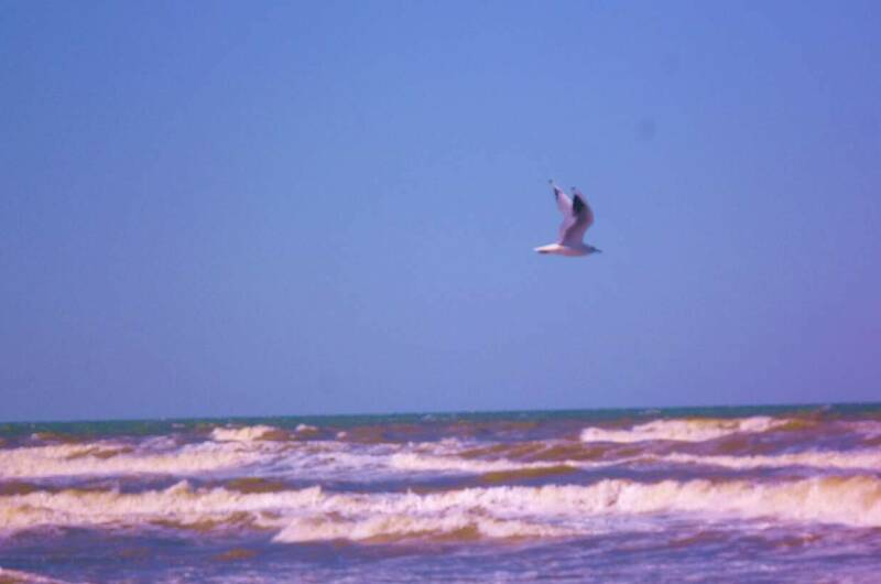 Изображение Изображение гостиницы &quot;Гостевой дом «Ирена»&quot; #3 #1