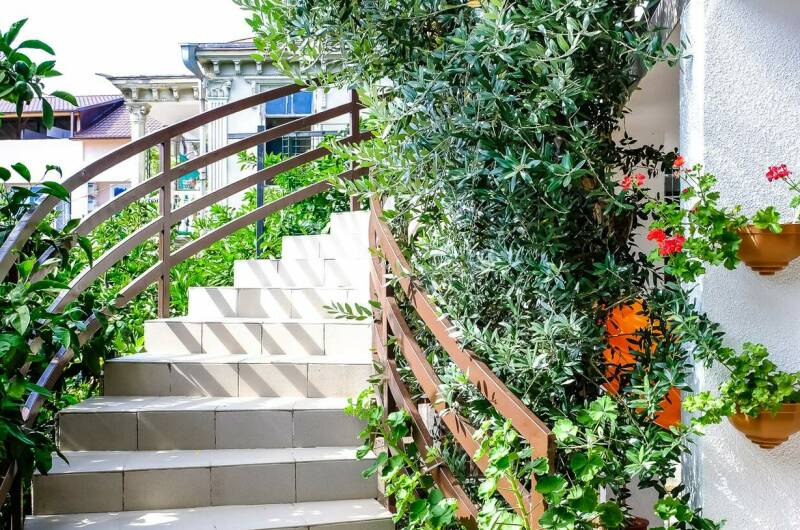 Изображение Изображение гостиницы &quot;Гостевой дом «Астра»&quot; #5 #3