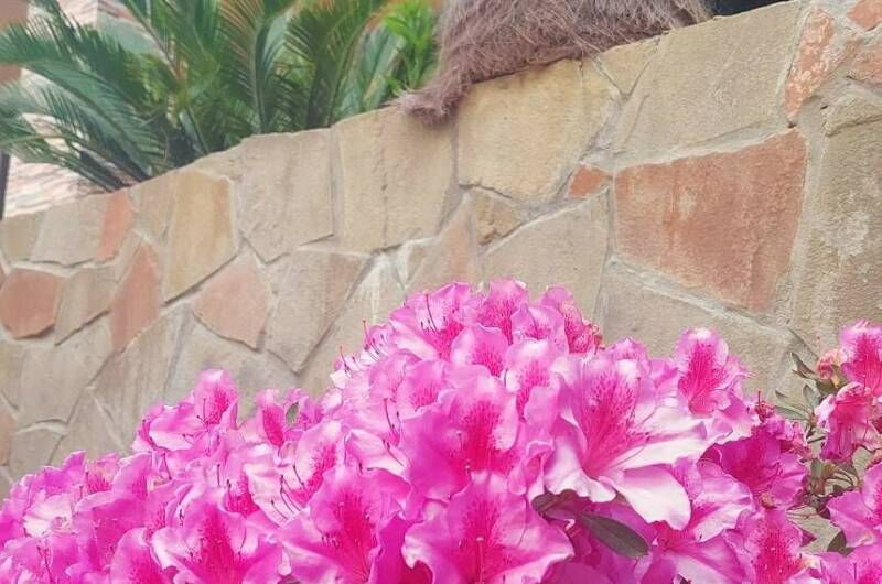 Изображение Изображение гостиницы &quot;Гостевой дом «Аэлита»&quot; #7 #5