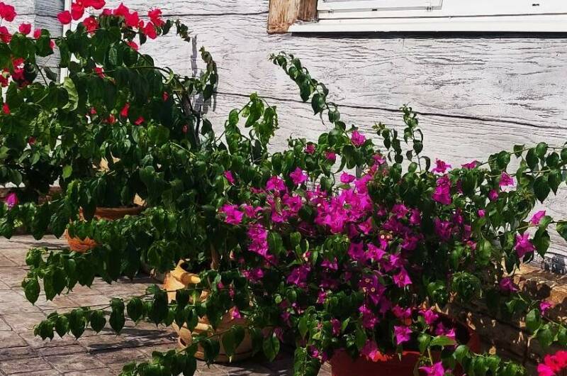 Изображение Изображение гостиницы &quot;Гостевой дом «Аэлита»&quot; #9 #7