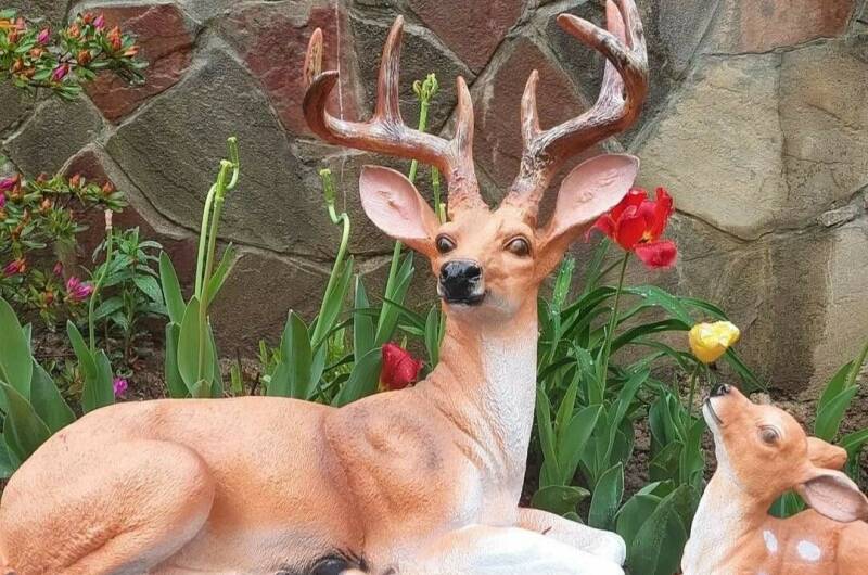 Изображение Изображение гостиницы &quot;Гостевой дом «Аэлита»&quot; #10 #8