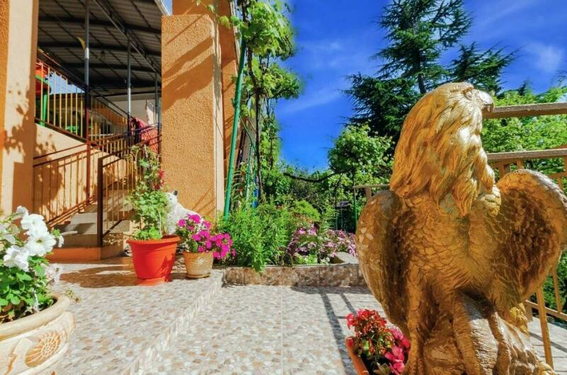 Изображение Изображение гостиницы &quot;Гостевой дом «Аэлита»&quot; #11 #9