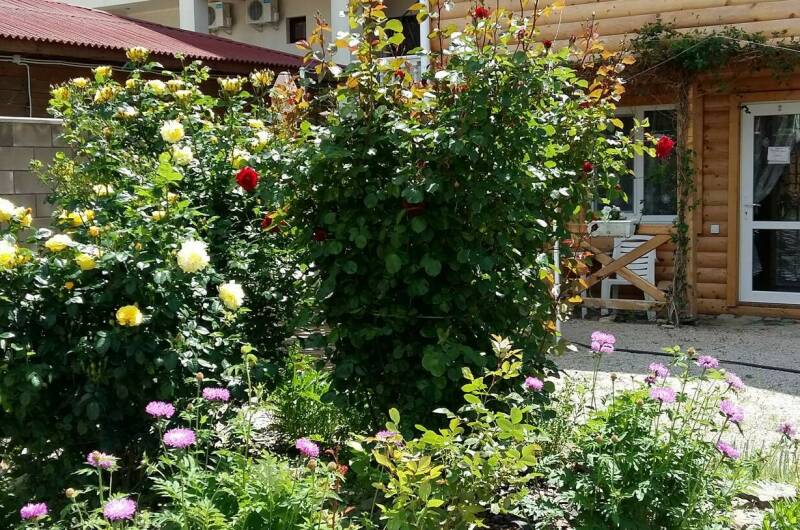 Изображение Изображение гостиницы &quot;Частный сектор на Адмиральской&quot; #5 #3