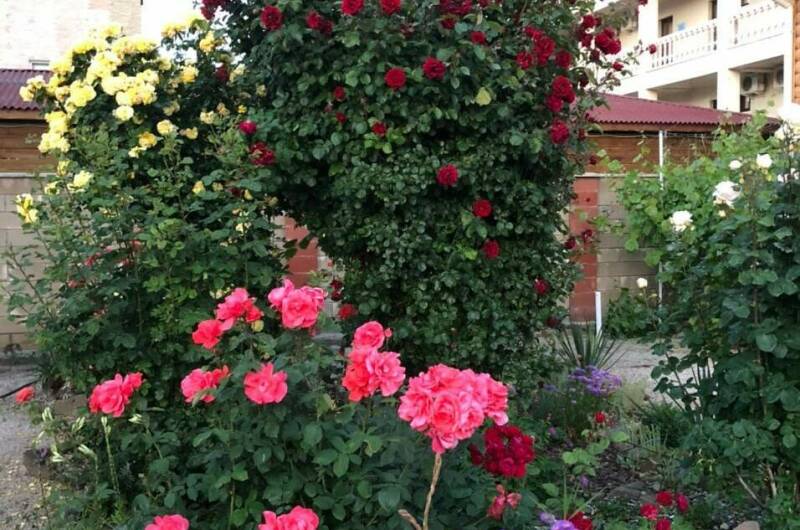 Изображение Изображение гостиницы &quot;Частный сектор на Адмиральской&quot; #8 #6