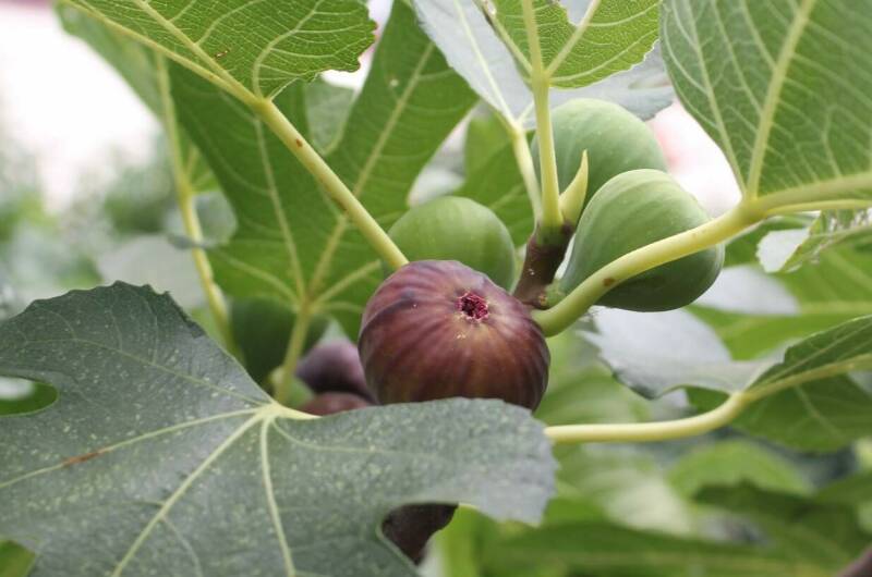 Изображение Изображение гостиницы &quot;Жилые мебелированные комнаты на улице Садовая 1А&quot; #5 #3
