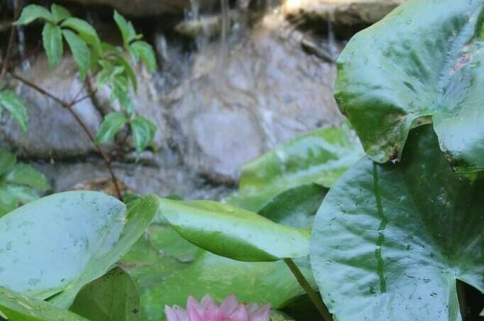 Изображение Изображение гостиницы &quot;Жилые мебелированные комнаты на улице Садовая 1А&quot; #9 #7