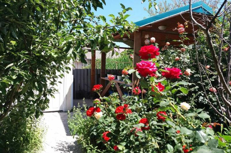 Изображение Изображение гостиницы &quot;Гостевой дом «Цоев Ковчег»&quot; #6 #4