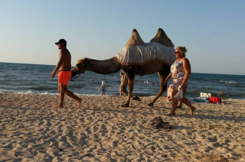 Изображение Изображение гостиницы &quot;Гостевой дом «Цоев Ковчег»&quot; #10 #8