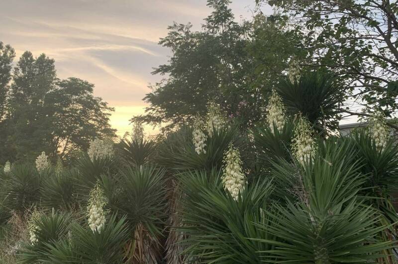 Изображение Изображение гостиницы &quot;Частный дом «Елена» 25 метров до моря&quot; #6 #4