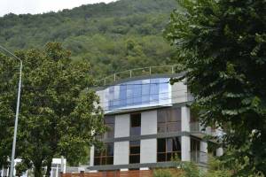 Изображение отеля / гостиницы "Отель «Пальма»"