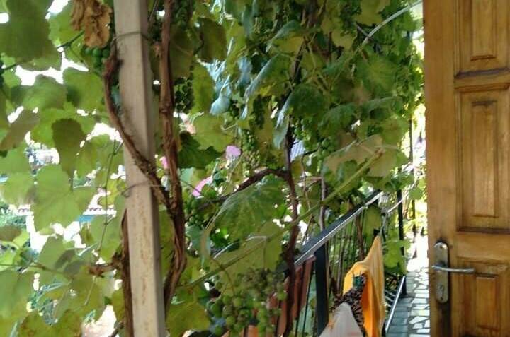 Изображение гостиницы "Гостевой дом на Киевской" #1