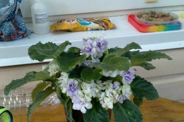 Изображение Изображение гостиницы &quot;Гостевой дом на Киевской&quot; #5 #3