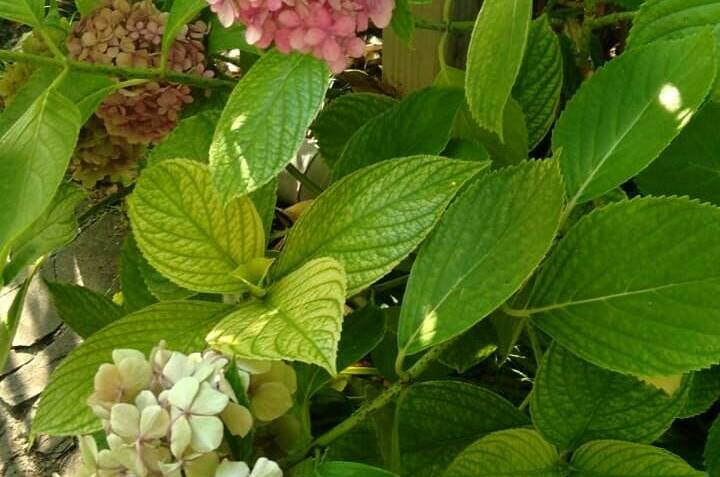 Изображение Изображение гостиницы &quot;Гостевой дом на Киевской&quot; #6 #4