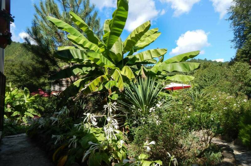 Изображение Изображение гостиницы &quot;Гостевой дом «Лесная Поляна»&quot; #8 #6