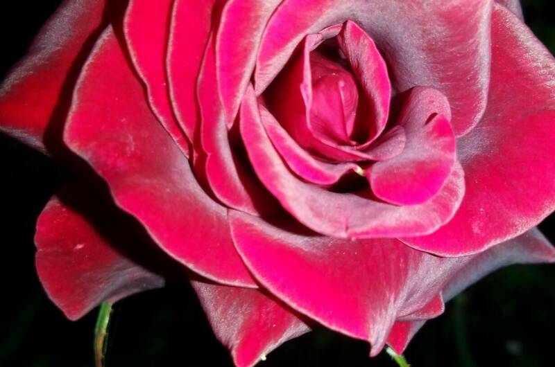 Изображение Изображение гостиницы &quot;Гостевая усадьба «Александр»&quot; #4 #2