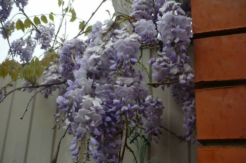 Изображение Изображение гостиницы &quot;Гостевая усадьба «Александр»&quot; #6 #4