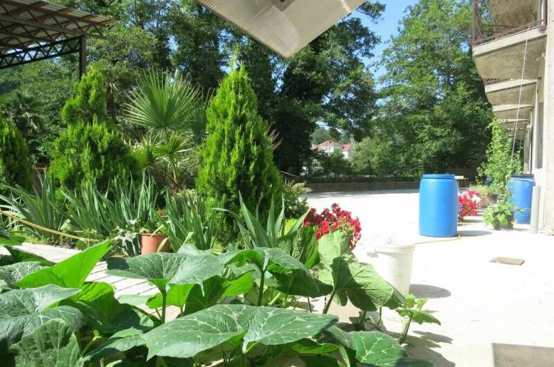 Изображение Изображение гостиницы &quot;Гостевой дом «Добрый Кит»&quot; #11 #9