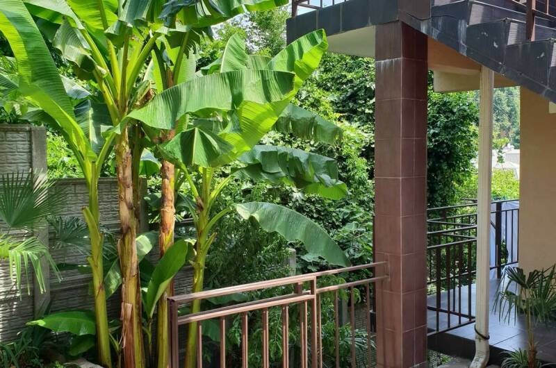 Изображение Изображение гостиницы &quot;Гостевой дом «У Кота»&quot; #7 #5