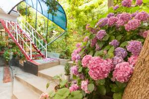 Гостевой дом «Лилия»