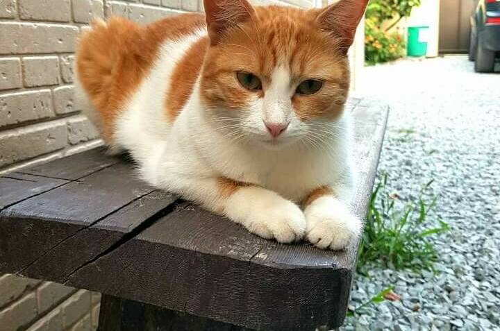 Изображение Изображение гостиницы &quot;Частный дом на Радужной&quot; #4 #2