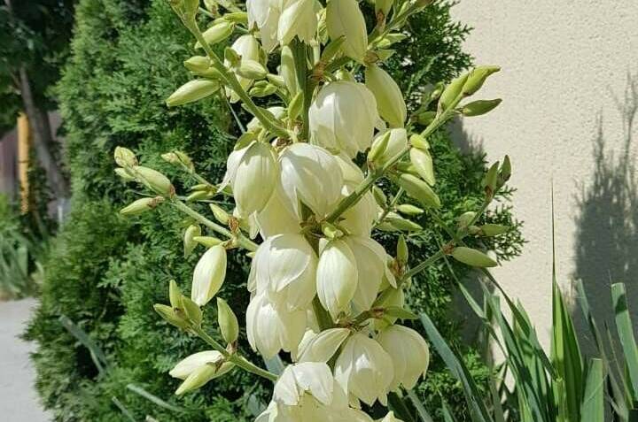 Изображение Изображение гостиницы &quot;Частный дом на Радужной&quot; #11 #9