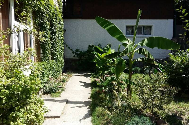 Изображение Изображение гостиницы &quot;Гостевой дом «Морской Бриз»&quot; #4 #2