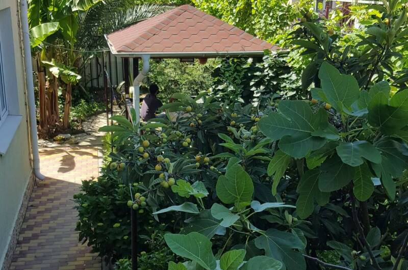 Изображение Изображение гостиницы &quot;Гостевой дом «Агава»&quot; #3 #1