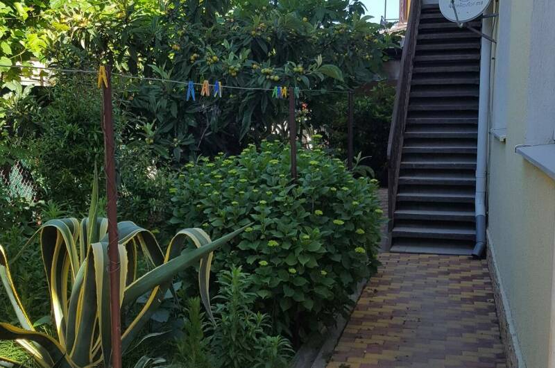 Изображение Изображение гостиницы &quot;Гостевой дом «Агава»&quot; #7 #5