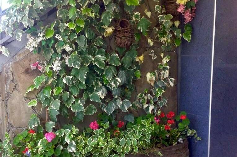 Изображение Изображение гостиницы &quot;Гостевой дом «Наира»&quot; #11 #9